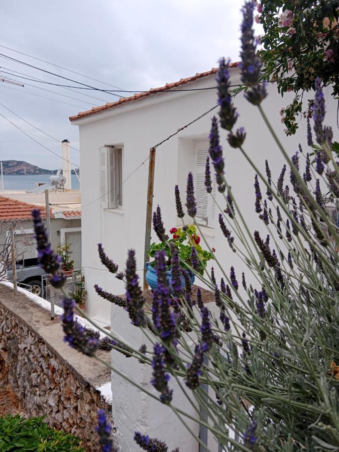 George Traditional House Pylos Exterior foto